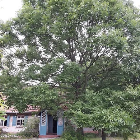 Dom W Puszczy Nowe Kwiejce