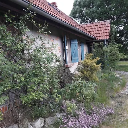 Dom W Puszczy ロッジ