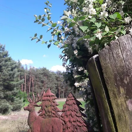 Dom W Puszczy ロッジ *