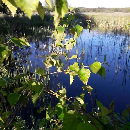 Dom W Puszczy ロッジ Nowe Kwiejce