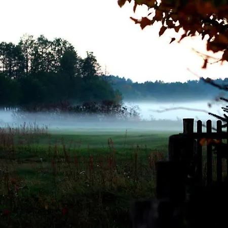 ロッジ Dom W Puszczy Nowe Kwiejce