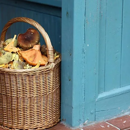 Dom W Puszczy * Nowe Kwiejce