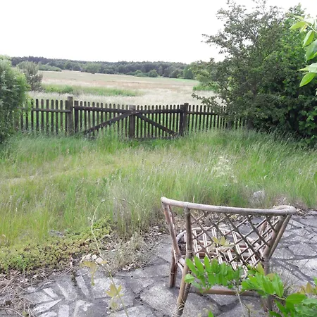 ロッジ Dom W Puszczy