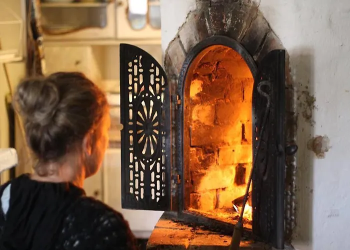 Lodge Dom W Puszczy *