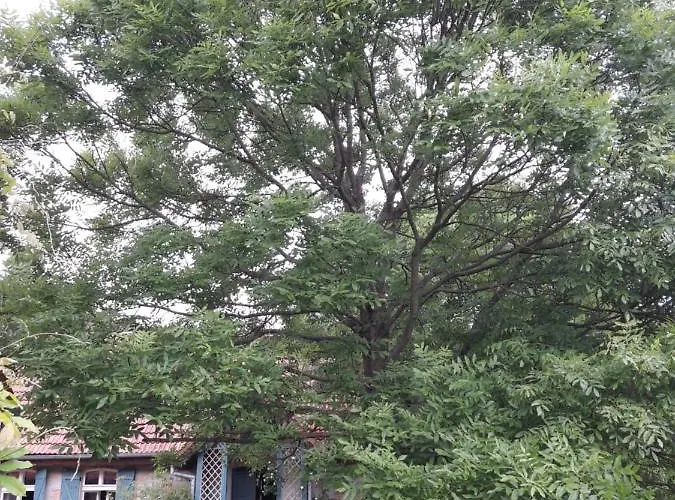 Dom W Puszczy Nowe Kwiejce