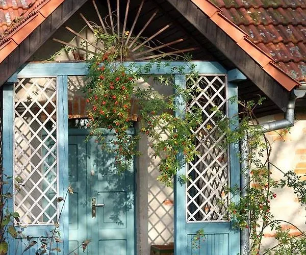 Lodge Dom W Puszczy *