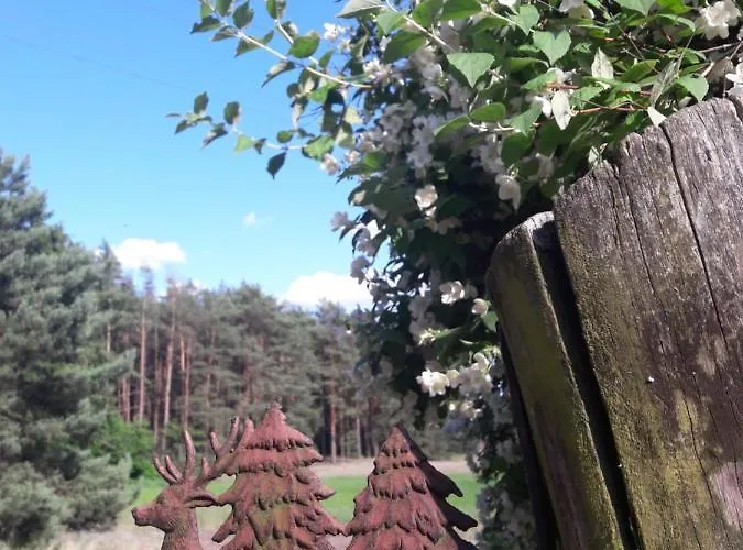 Dom W Puszczy Lodge *