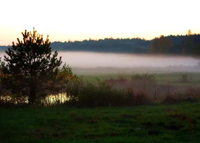 Lodge Dom W Puszczy Nowe Kwiejce