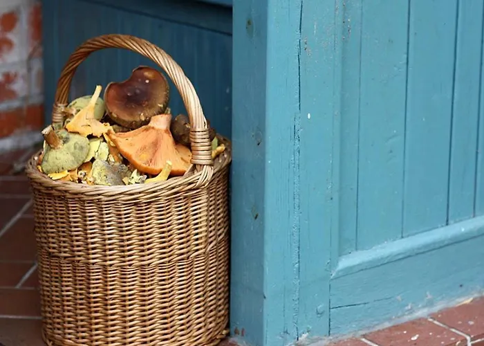 Dom W Puszczy * Nowe Kwiejce